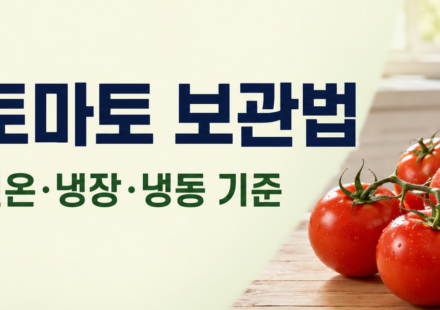 토마토 보관법