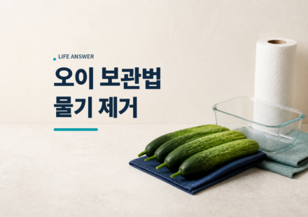 신선한 오이와 키친타월, 유리 밀폐용기를 함께 둔 모습