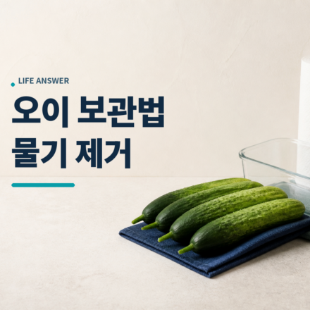 신선한 오이와 키친타월, 유리 밀폐용기를 함께 둔 모습