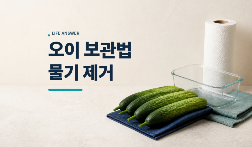 신선한 오이와 키친타월, 유리 밀폐용기를 함께 둔 모습