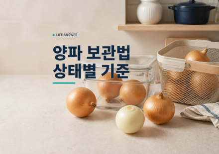 통양파와 깐 양파를 보관 용기 옆에 구분해 둔 모습