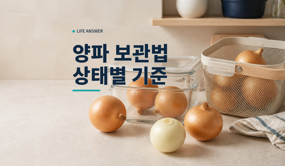 통양파와 깐 양파를 보관 용기 옆에 구분해 둔 모습