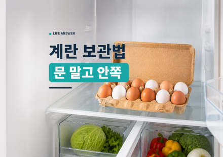 냉장고 안쪽 선반의 종이 포장에 담긴 계란
