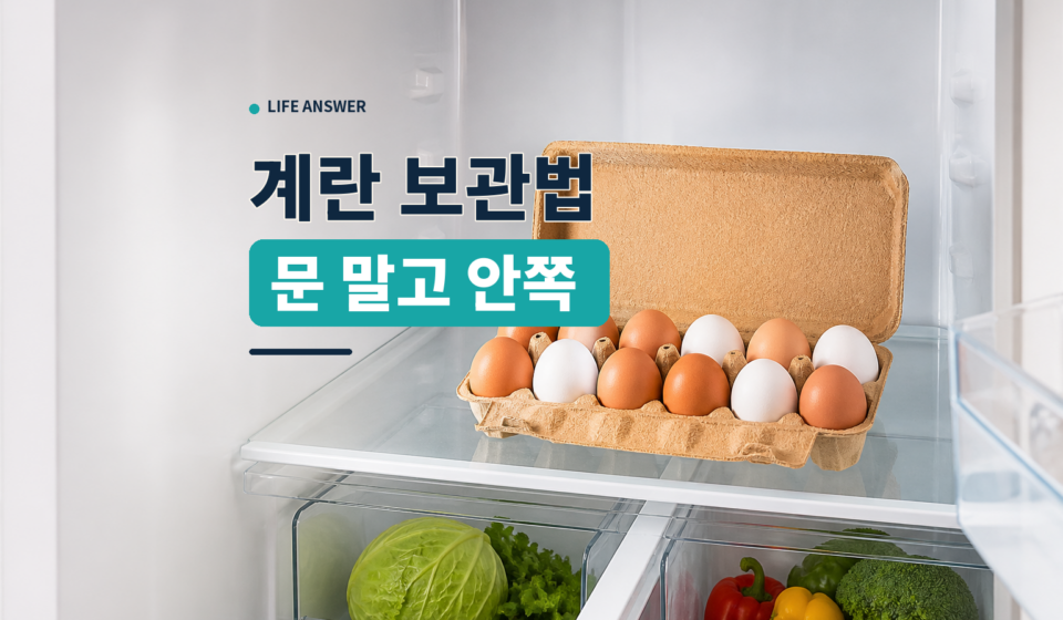 냉장고 안쪽 선반의 종이 포장에 담긴 계란