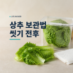 신선한 상추와 종이타월을 밀폐용기 옆에 둔 모습