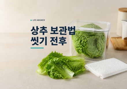 신선한 상추와 종이타월을 밀폐용기 옆에 둔 모습