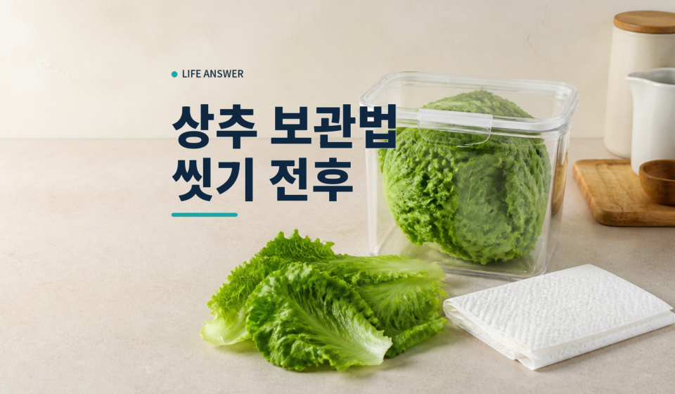 신선한 상추와 종이타월을 밀폐용기 옆에 둔 모습