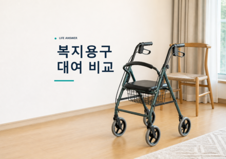 장기요양 복지용구 대여 비교를 위한 가정용 성인 보행기