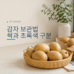 감자 보관법 싹과 초록색 구분 대표 이미지