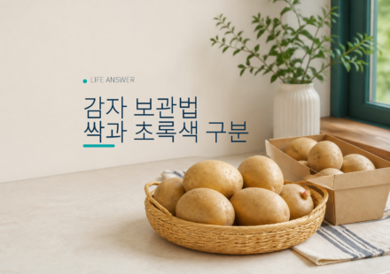 감자 보관법 싹과 초록색 구분 대표 이미지