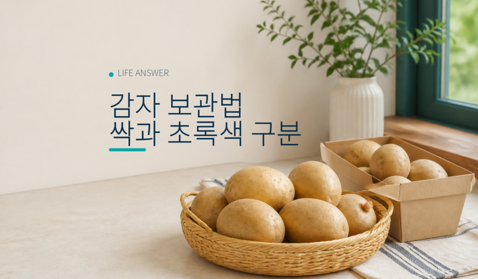 감자 보관법 싹과 초록색 구분 대표 이미지