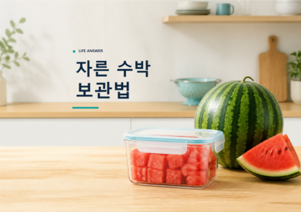 밀폐용기에 한입 크기로 담아 냉장 보관할 자른 수박