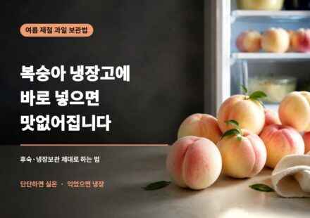 복숭아-냉장고에-바로-넣으면-대표썸네일-v2