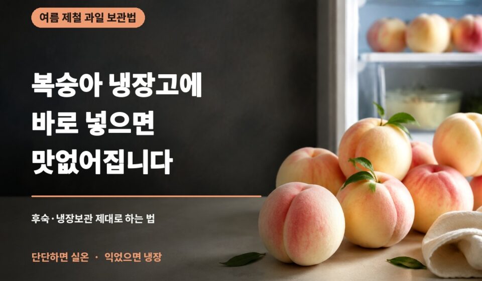 복숭아-냉장고에-바로-넣으면-대표썸네일-v2