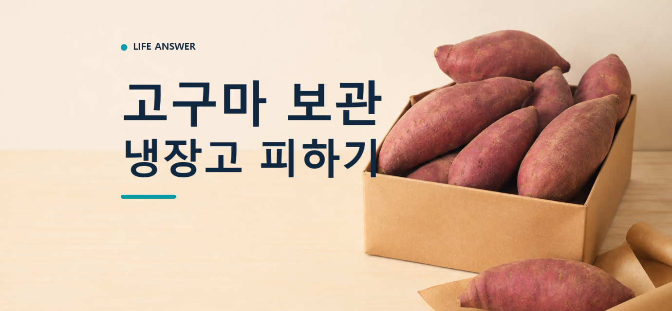 고구마 보관법에 따라 생고구마를 종이상자와 마른 종이에 나누어 둔 모습