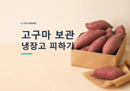 고구마 보관법에 따라 생고구마를 종이상자와 마른 종이에 나누어 둔 모습