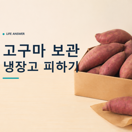 고구마 보관법에 따라 생고구마를 종이상자와 마른 종이에 나누어 둔 모습
