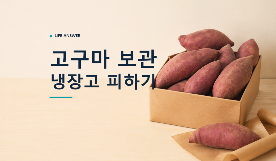 고구마 보관법에 따라 생고구마를 종이상자와 마른 종이에 나누어 둔 모습